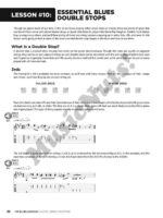Guitar Lesson Goldmine: 100 Blues Lessons (with Audio Access) - Image 3