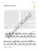 Chopin: At the Piano - Image 3